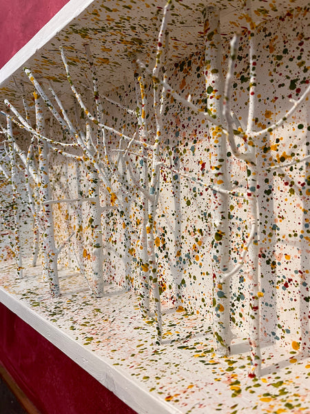 Foresta di betulle