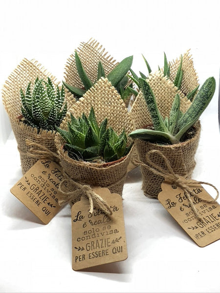 Segnaposto cactus pianta grassa