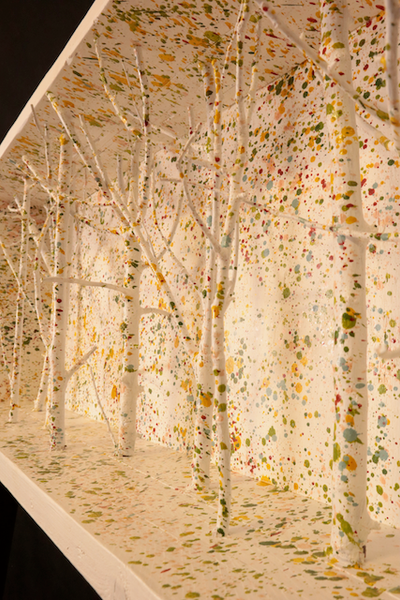 Foresta di betulle