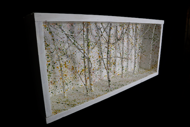 Foresta di betulle